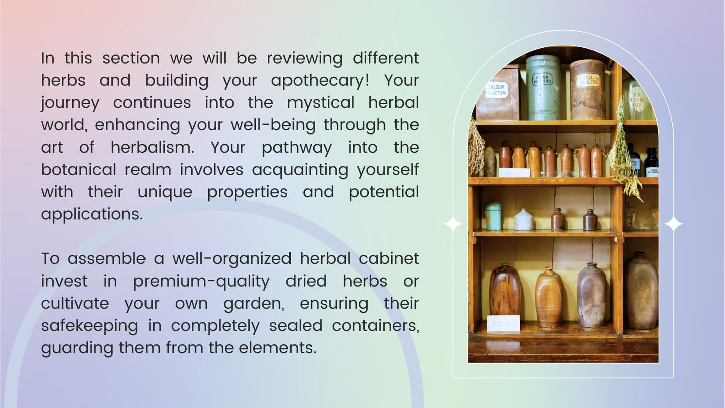 Herbalism Course: Whispers of Nature, Pre-Order - early bird price
