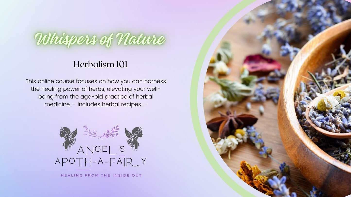 Herbalism Course: Whispers of Nature, Pre-Order - early bird price