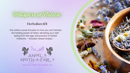 Herbalism Course: Whispers of Nature, Pre-Order - early bird price