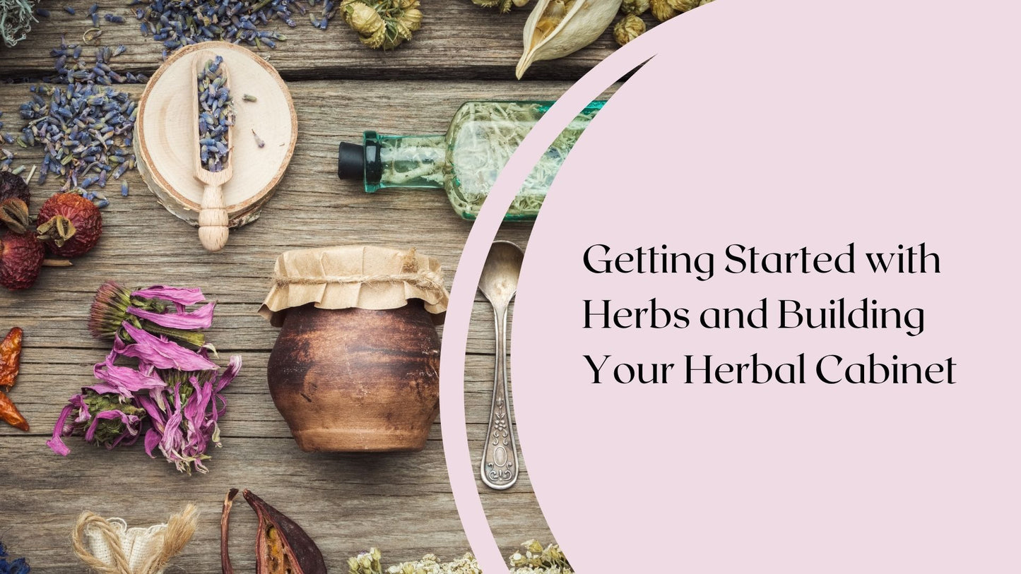 Herbalism Course: Whispers of Nature, Pre-Order - early bird price