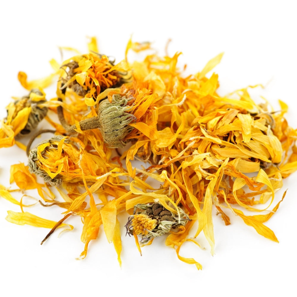 Calendula Flowers