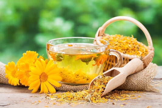 calendula-flowers-for-herbal-tea-infusion