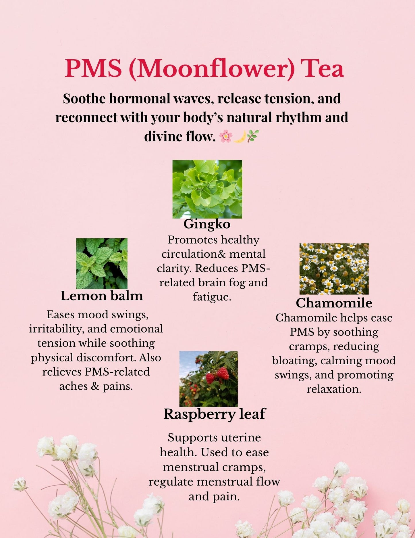 PMS (Moonflower) Tea – Natural Relief for Cramps, Bloating & Mood Swings 🌙🌸