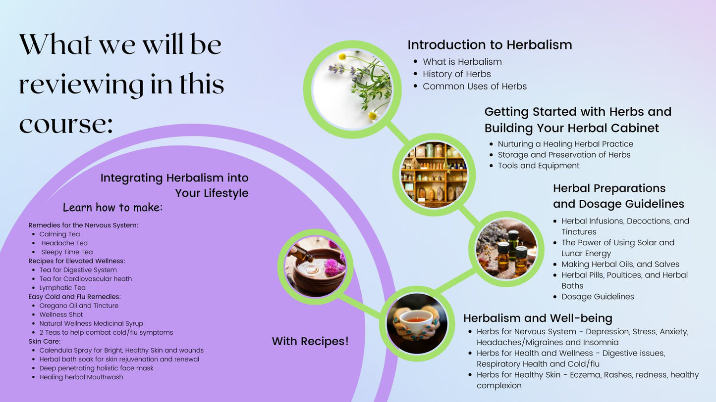 Herbalism Course: Whispers of Nature, Pre-Order - early bird price