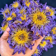 Blue Lotus Flowers – For Tea, Ritual & Relaxation